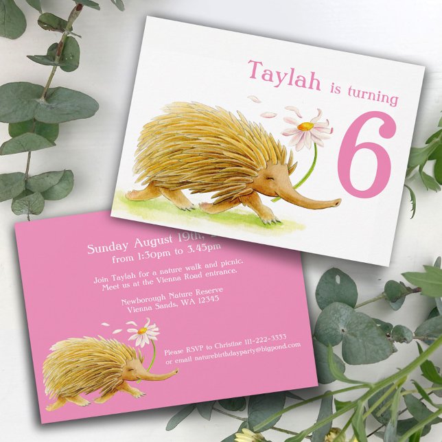 Invitaciones para el 6º cumpleaños de las niñas de (Subido por el creador)