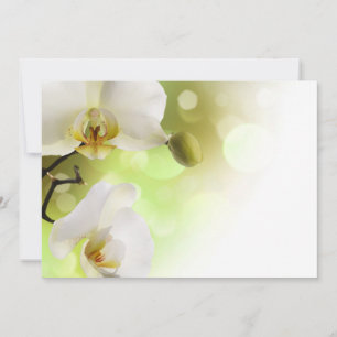 Invitaciones para orquídeas