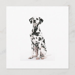 Invitaciones para perros de fuego