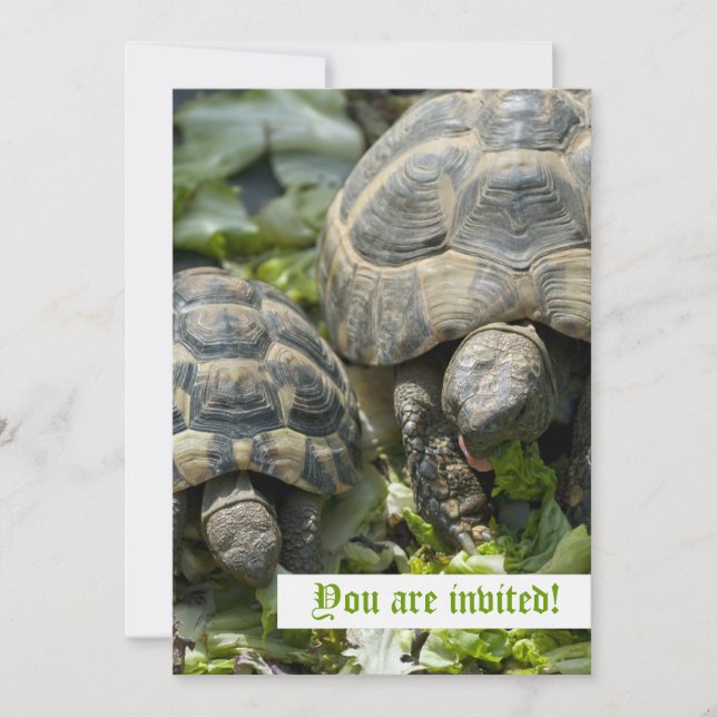 Invitaciones Personalizadas de Tortugas Lindas (Anverso)