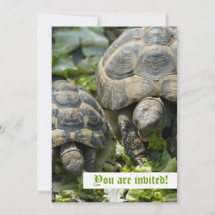 Invitaciones Personalizadas de Tortugas Lindas