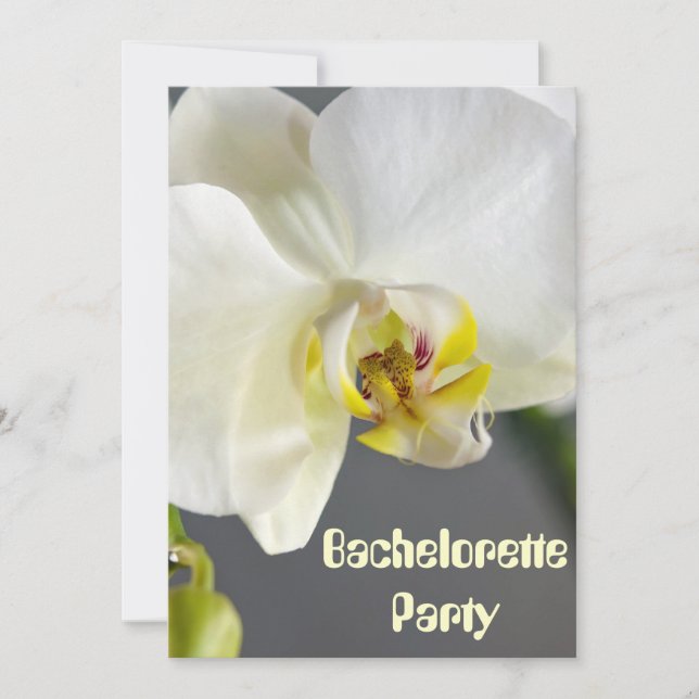 Invitaciones Personalizadas para la Fiesta de Desp (Anverso)