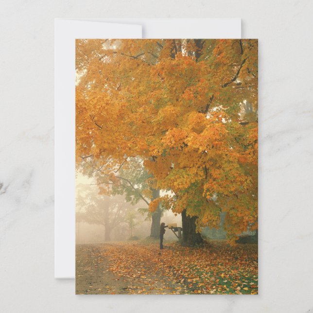 Invitaciones por correo matutino (Anverso)