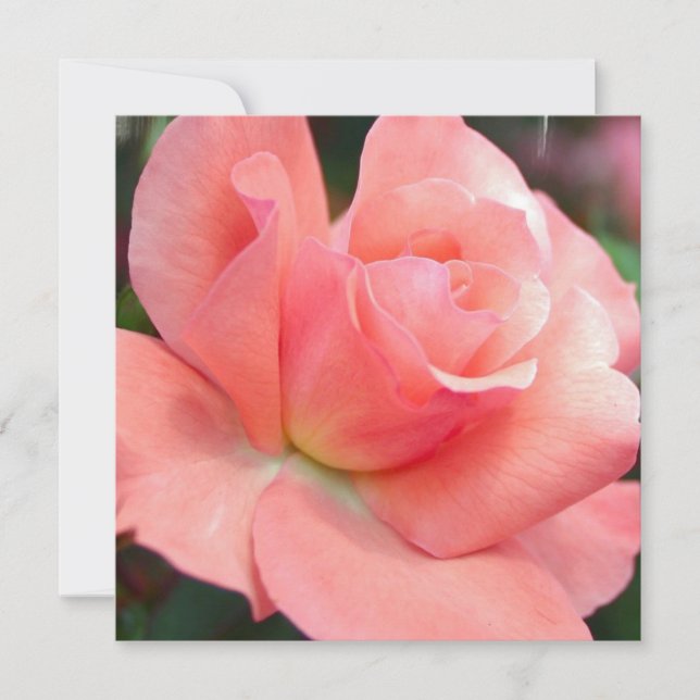 Invitaciones Rosa rosadas (Anverso)