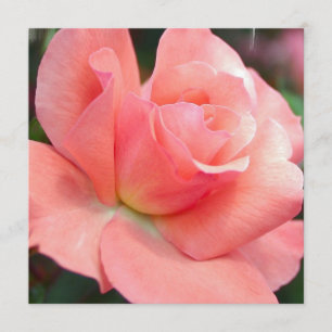 Invitaciones Rosa rosadas