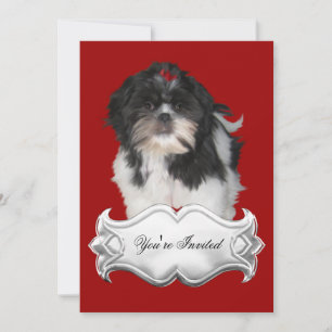 Invitaciones Shitzu Shih Tzu Cachorros Perros Rojo
