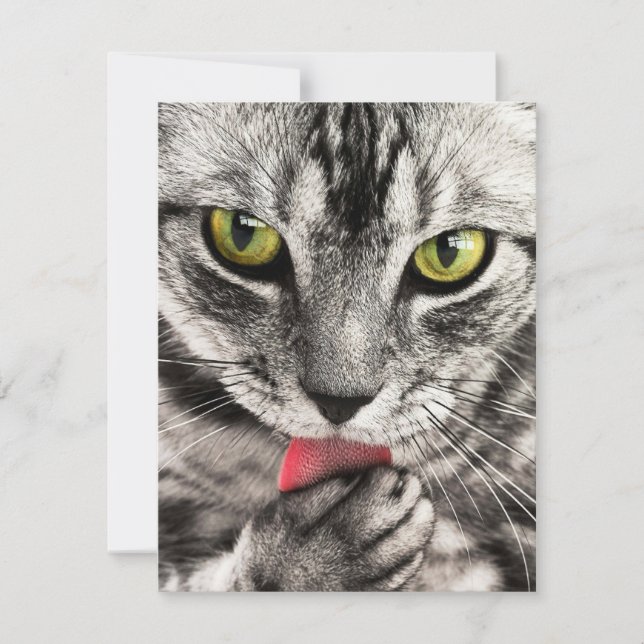 Invitaciones Stationery Greeting Cards Holida (Anverso)