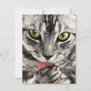 Invitaciones Stationery Greeting Cards Holida