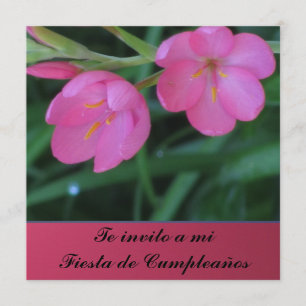 Invito de Invitación - de Te al MI Fiesta de