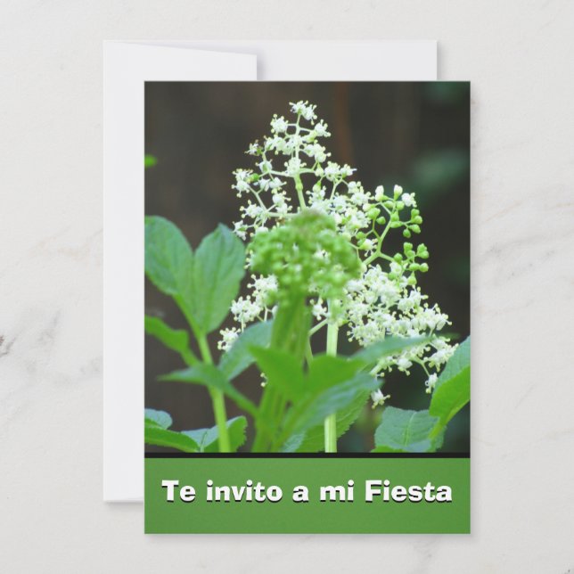 Invito de Invitación - de Te una fiesta del MI - (Anverso)
