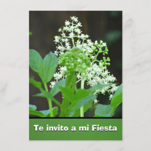 Invito de Invitación - de Te una fiesta del MI -