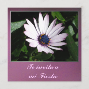 Invito de Invitación - de Te una fiesta del MI -
