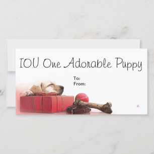 IOU Un Cachorro Adorable