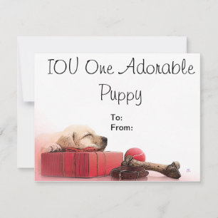 IOU Un Cachorro Adorable