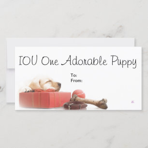 IOU Un Cachorro Adorable