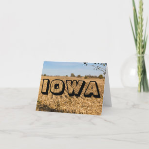 IOWA Cornfield Panorama Panorama Panorámico Scener