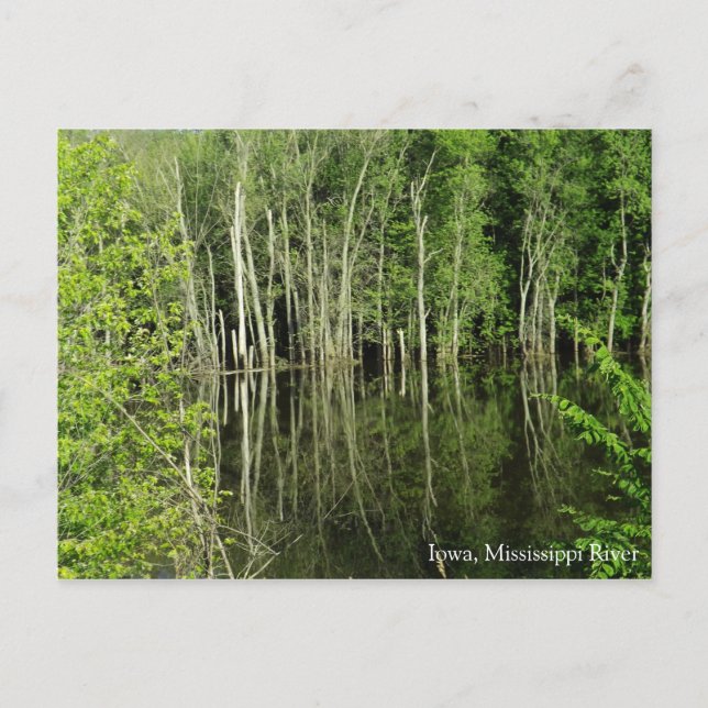 Iowa en la postal del río Misisipi (Anverso)