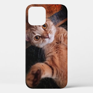 iphone12 pro fundas ...cat