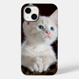 iphone 14 fundas gato amor