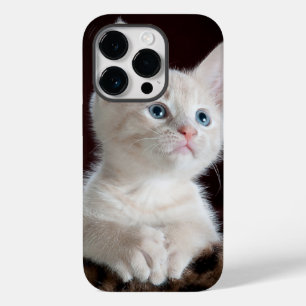 iphone 14 fundas pro gato amor