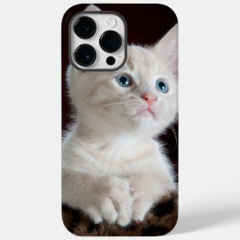 iphone 14 fundas pro max cat love