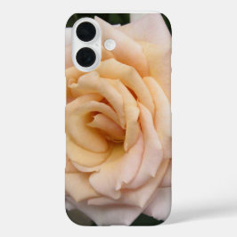 iPhone 16 Floral Blackberry funda audaz con Rosa romántico