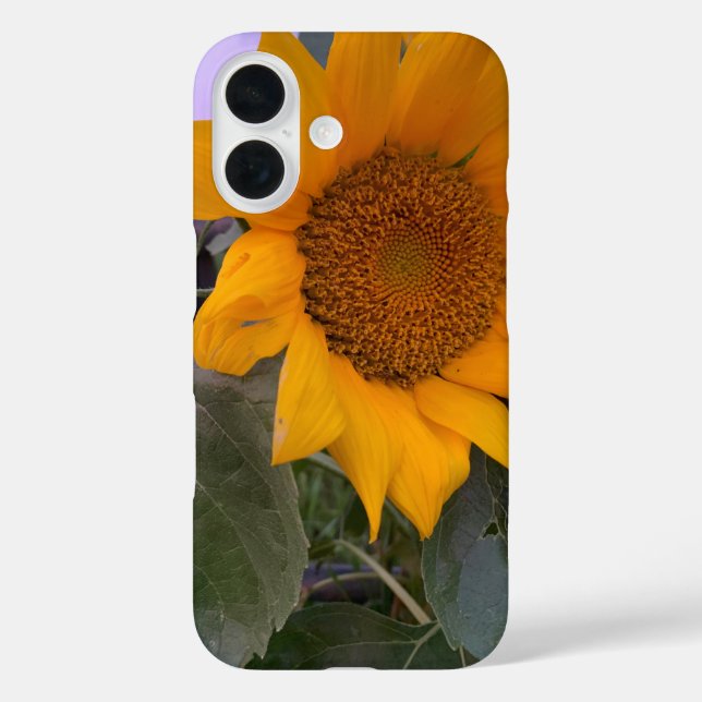 iPhone 16 Funda de girasol (Reverso )