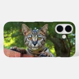 iPhone 16 Funda de teléfono de gato de Savannah