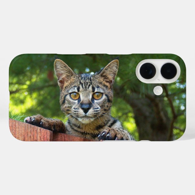 iPhone 16 Funda de teléfono de gato de Savannah (Reverso (Horizontal))