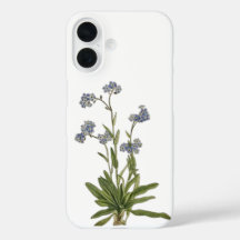 Funda de teléfono de nomeolvides silvestre