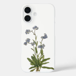 iPhone 16 Funda de teléfono de nomeolvides silvestre