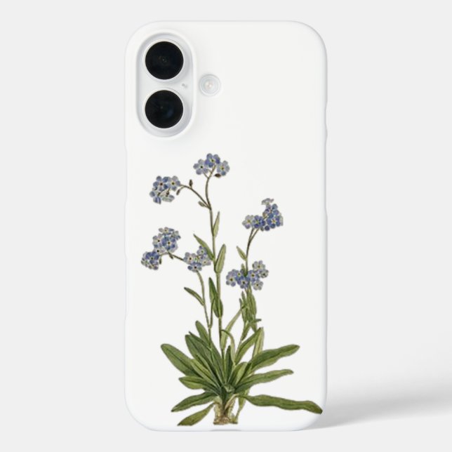 iPhone 16 Funda de teléfono de nomeolvides silvestre (Reverso )