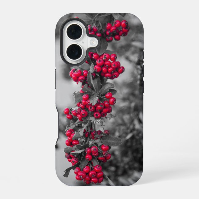 iPhone 16 Funda para teléfono con bayas de Pyracantha (Reverso )