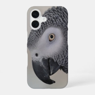 iPhone 16 Funda para teléfono de cerca de la cara de loro gr