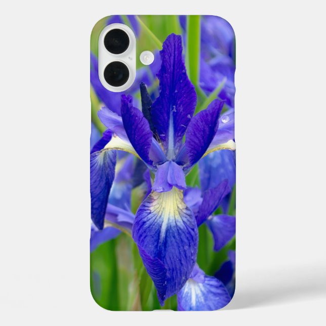 iPhone 16 Plus Funda para teléfono de Iris Azul (Reverso )