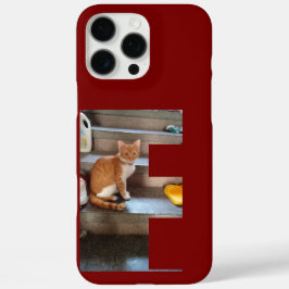 iPhone 16 Pro Max Cat Photo and Name , F, Funda Personalizado-Mate i