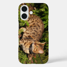 iPhone 16 Savannah Cat Funda