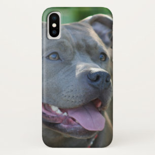 Iphone de Pitbull x funda