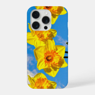 Grupo de Narcisos flores Medalla de Oro funda para