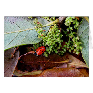 Ir a casa para cenar