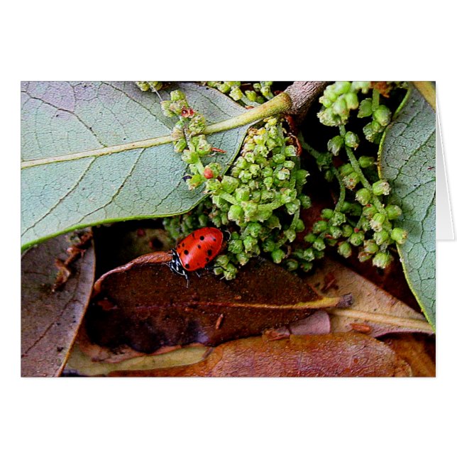 Ir a casa para cenar (Anverso (Horizontal))