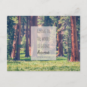 Ir al bosque   Tarjeta postal