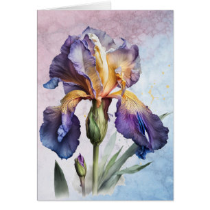 Iris