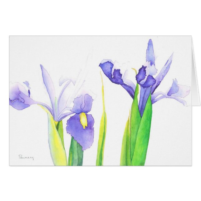 Iris (Anverso (Horizontal))