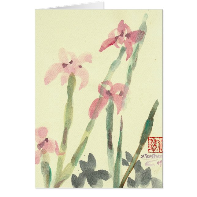 Iris (Frente)