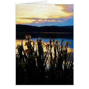 Iris amarillo en la orilla del lago Arrowhead