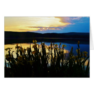 Iris amarillo en la orilla del lago Arrowhead