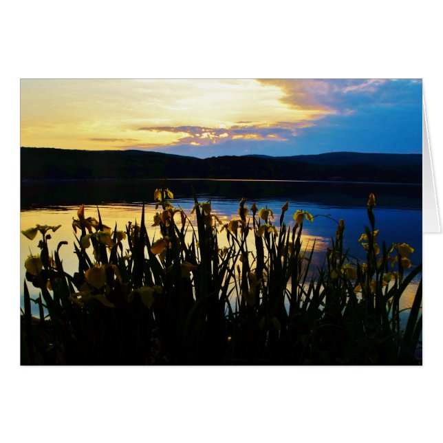 Iris amarillo en la orilla del lago Arrowhead (Anverso (Horizontal))