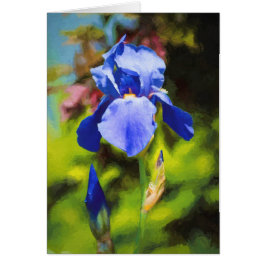 Iris azul