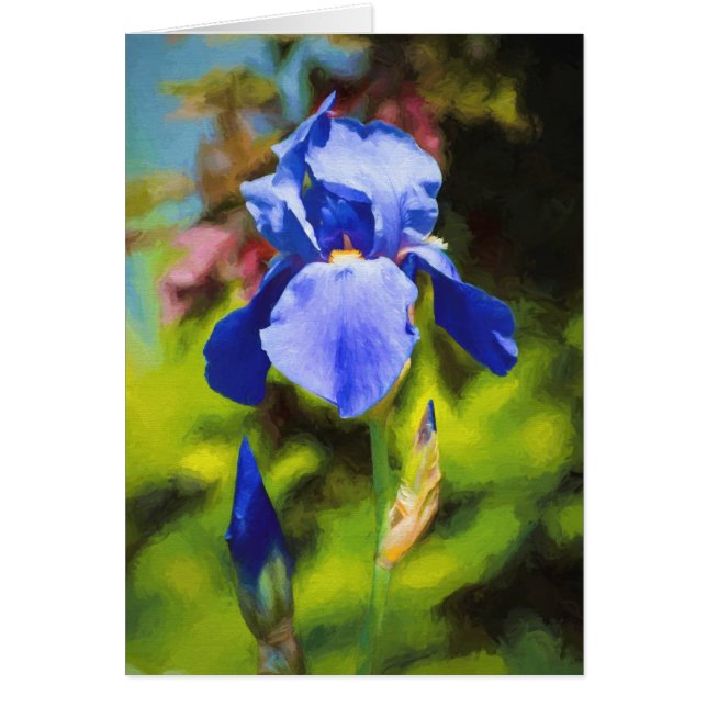 Iris azul (Frente)